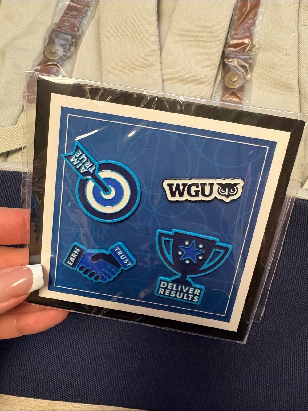 WGU backpack & pins - Picture 4 of 4